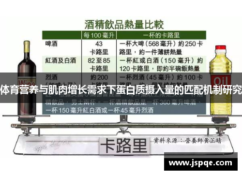 体育营养与肌肉增长需求下蛋白质摄入量的匹配机制研究